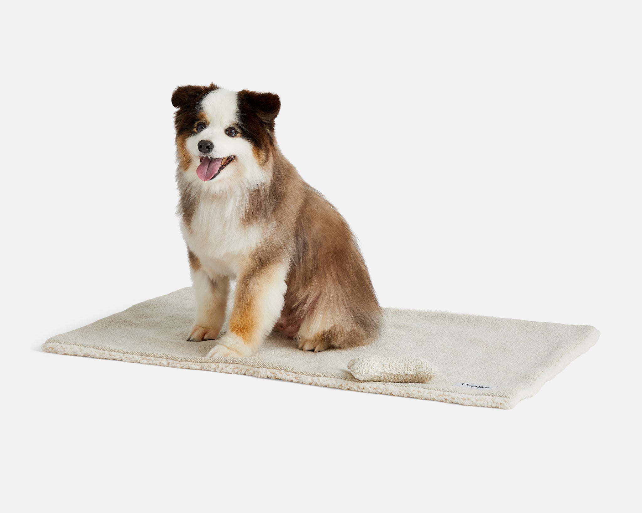 BOUCLE WHITE PET BLANKET IN SMALL teddylondon