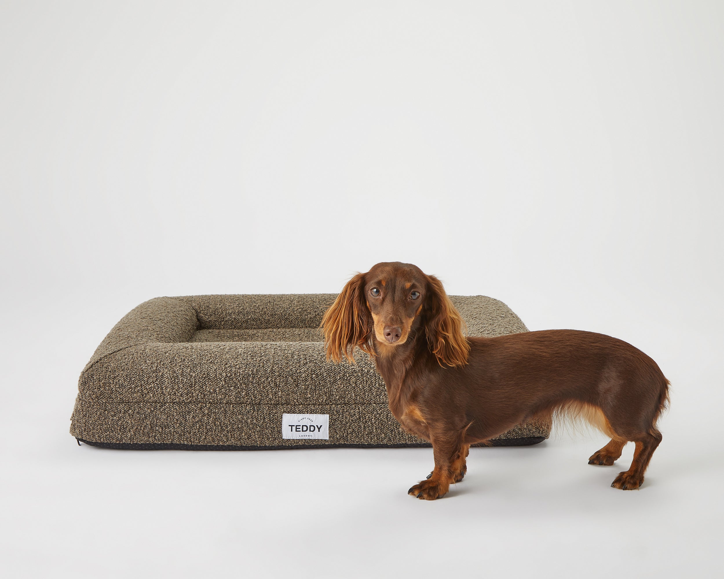 Kensington kennel hotsell club dog bed